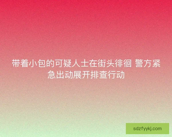 带着小包的可疑人士在街头徘徊 警方紧急出动展开排查行动
