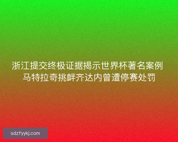 浙江提交终极证据揭示世界杯著名案例 马特拉奇挑衅齐达内曾遭停赛处罚