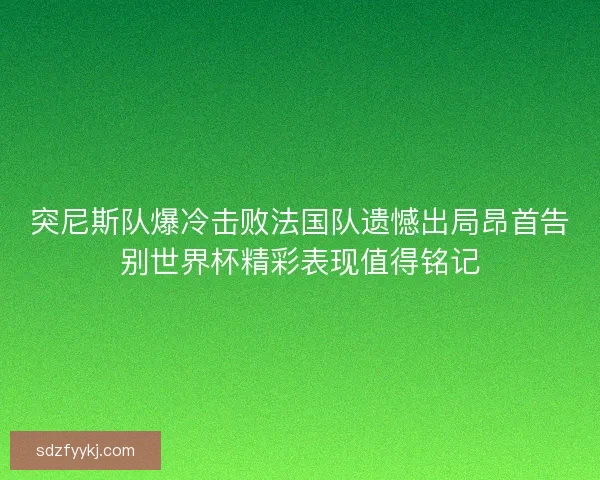 突尼斯队爆冷击败法国队遗憾出局昂首告别世界杯精彩表现值得铭记